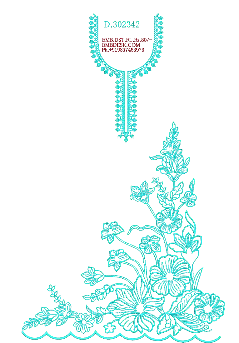 Fancy punjabi long suit