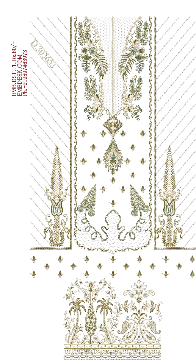 Pakistani long suit 