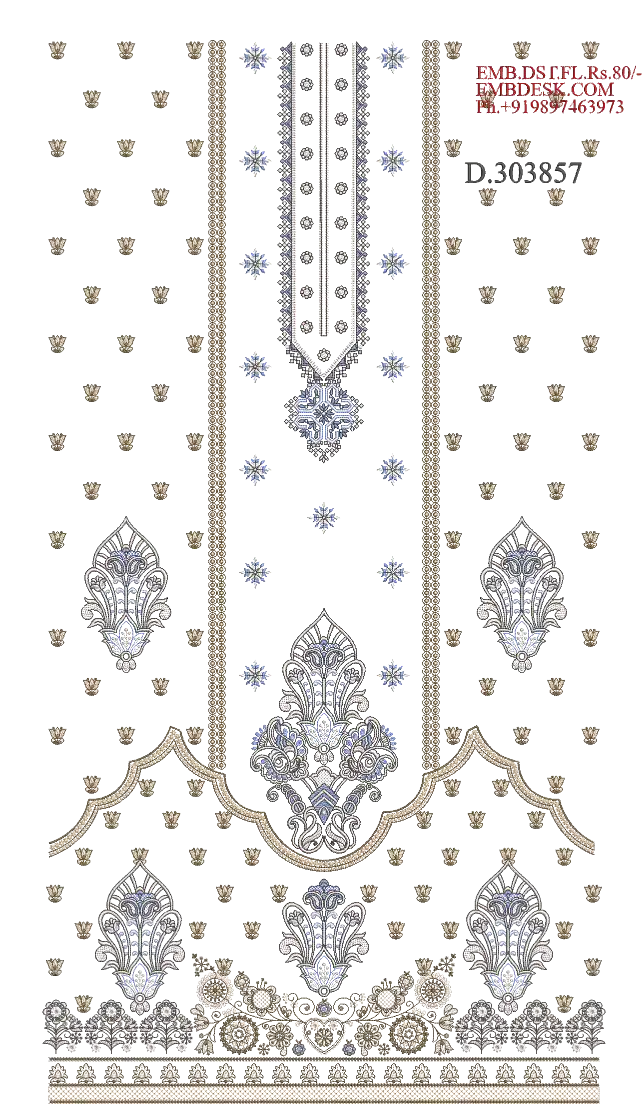Pakistani suit Design