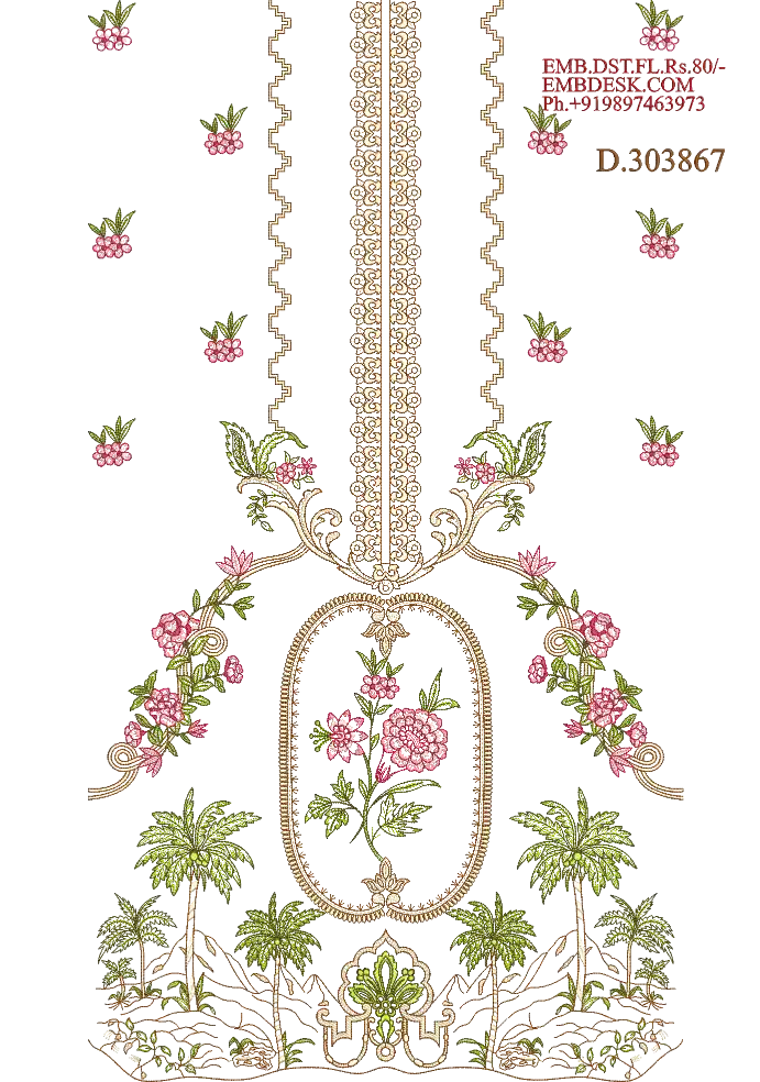 Pakistani suit Design