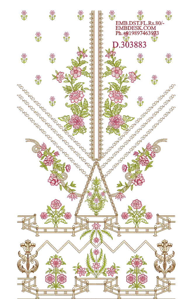 Pakistani suit Design