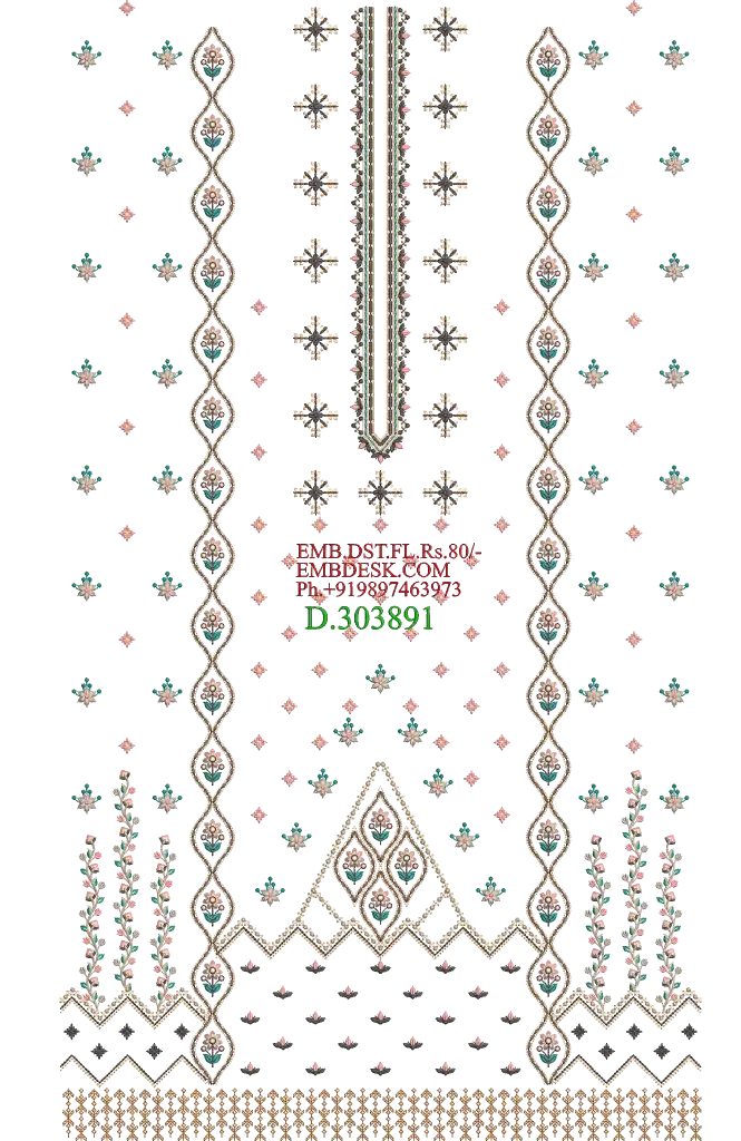 Pakistani suit Design