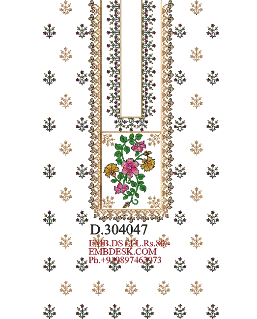 Pakistani suit Design